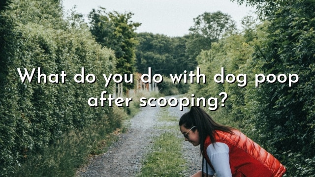 What do you do with dog poop after scooping?