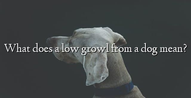 What does a low growl from a dog mean?