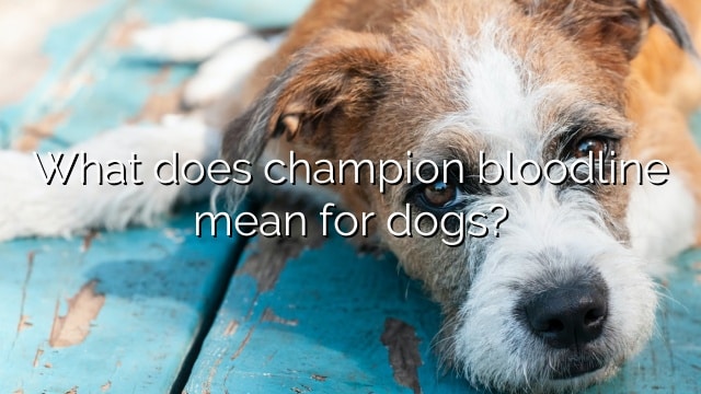 What does champion bloodline mean for dogs?