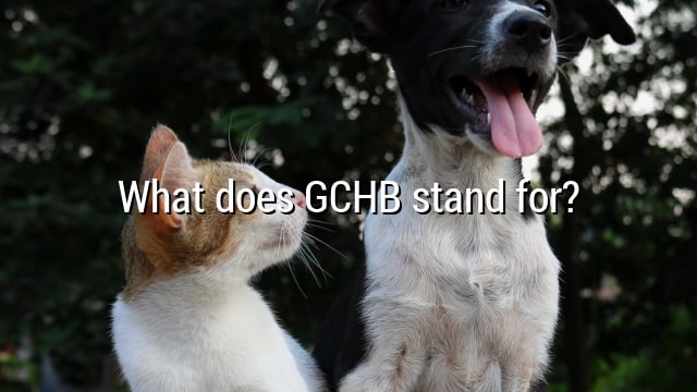 What does GCHB stand for?