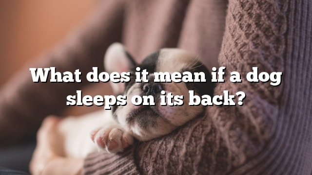 What does it mean if a dog sleeps on its back?
