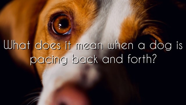 What does it mean when a dog is pacing back and forth?