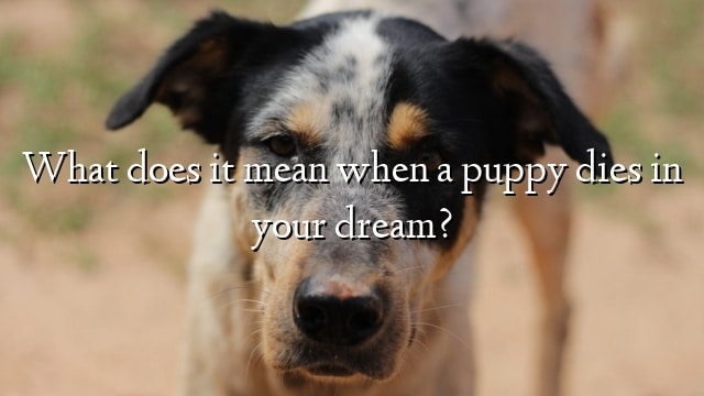 What does it mean when a puppy dies in your dream?