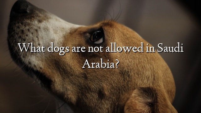 What dogs are not allowed in Saudi Arabia?