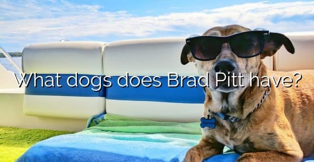 What dogs does Brad Pitt have?
