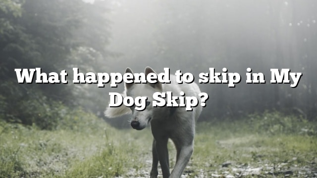 What happened to skip in My Dog Skip?