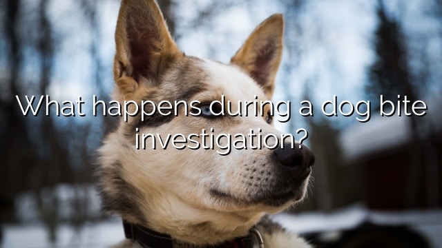 What happens during a dog bite investigation?