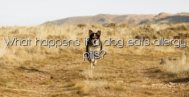 What happens if a dog eats allergy pills?