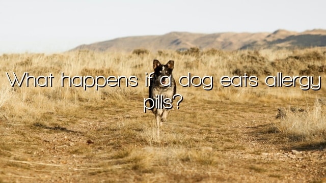 What happens if a dog eats allergy pills?