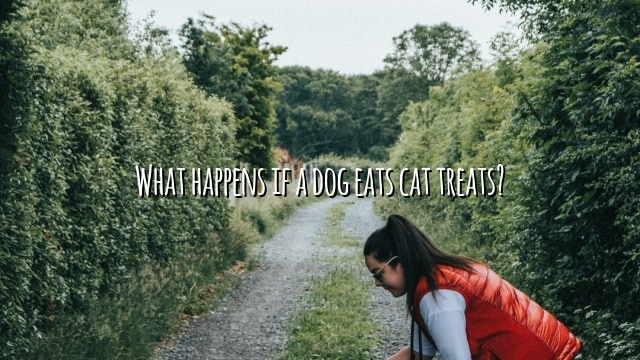 What happens if a dog eats cat treats?