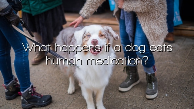 What happens if a dog eats human medication?