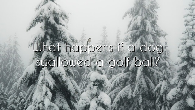 What happens if a dog swallowed a golf ball?