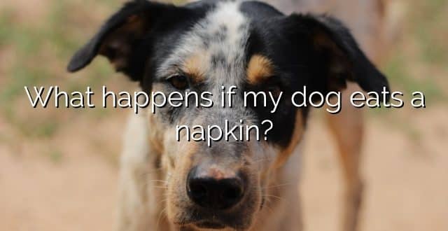 What happens if my dog eats a napkin?