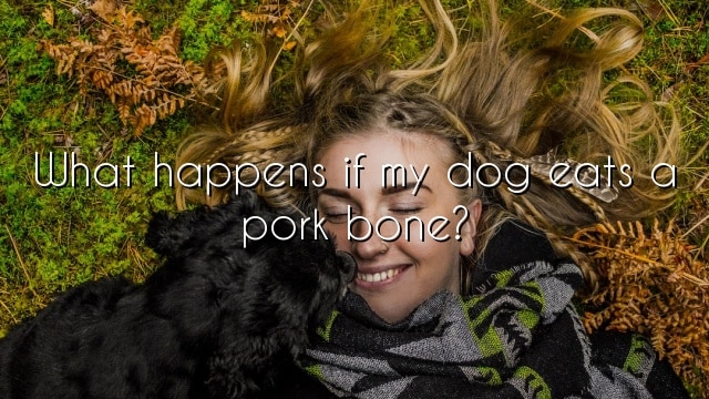 What happens if my dog eats a pork bone?