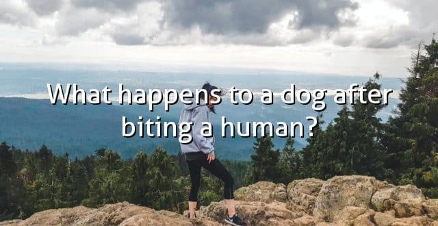 What happens to a dog after biting a human?