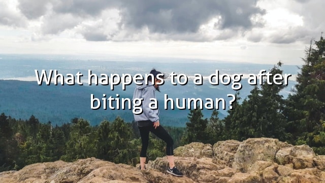 What happens to a dog after biting a human?
