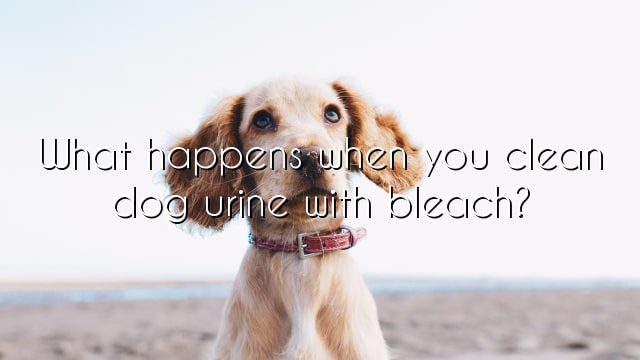 What happens when you clean dog urine with bleach?