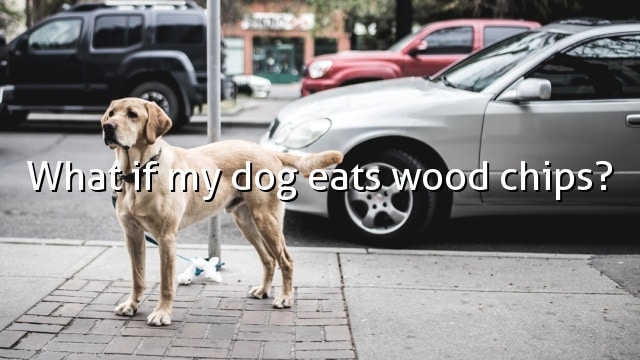 What if my dog eats wood chips?