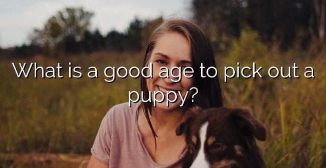 What is a good age to pick out a puppy?