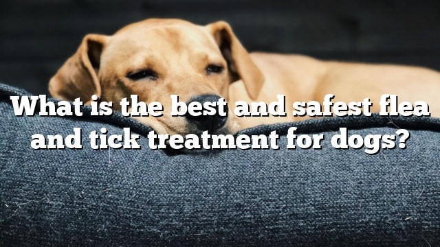 What is the best and safest flea and tick treatment for dogs?