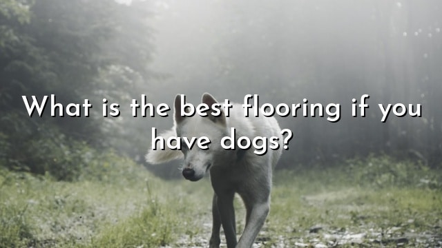 What is the best flooring if you have dogs?