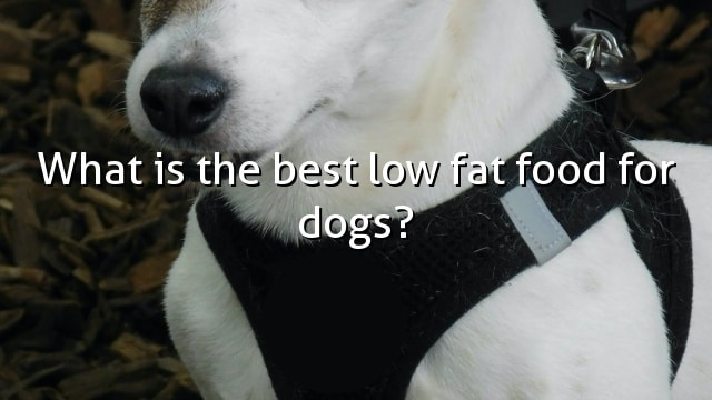 What is the best low fat food for dogs?