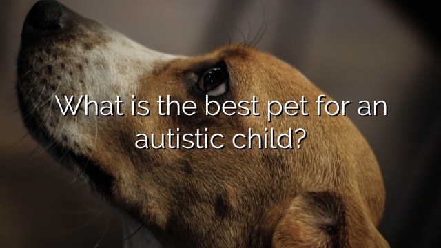 What is the best pet for an autistic child?
