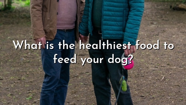 What is the healthiest food to feed your dog?