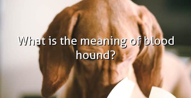 What is the meaning of blood hound?