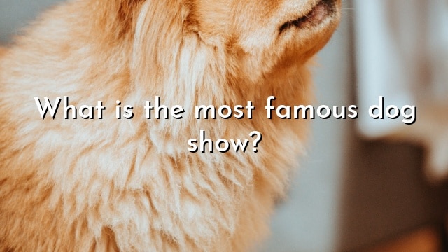 What is the most famous dog show?