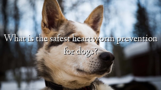 What is the safest heartworm prevention for dogs?