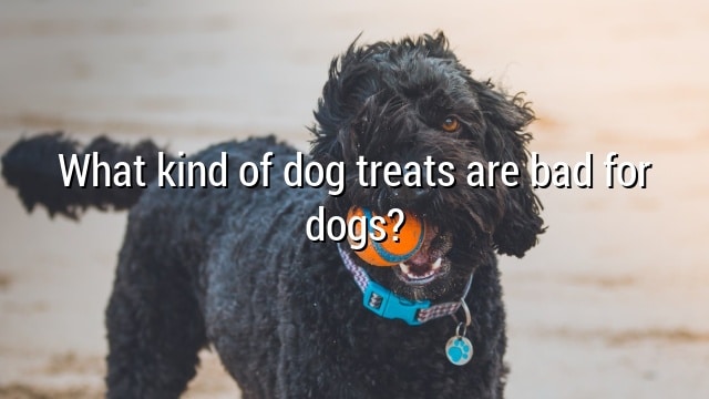 What kind of dog treats are bad for dogs?