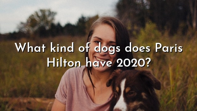 What kind of dogs does Paris Hilton have 2020?
