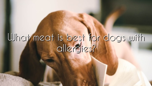 What meat is best for dogs with allergies?