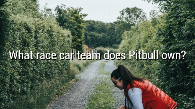 What race car team does Pitbull own?
