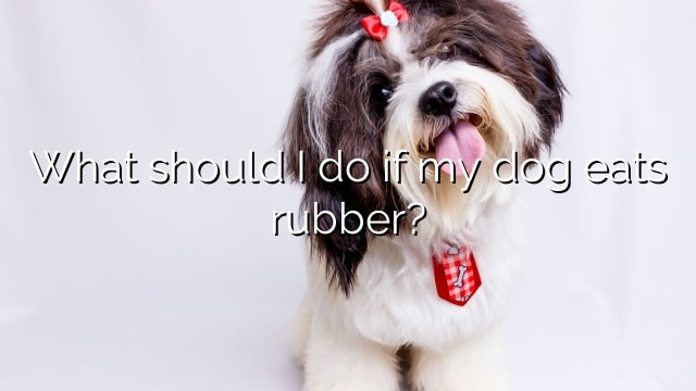 What should I do if my dog eats rubber?