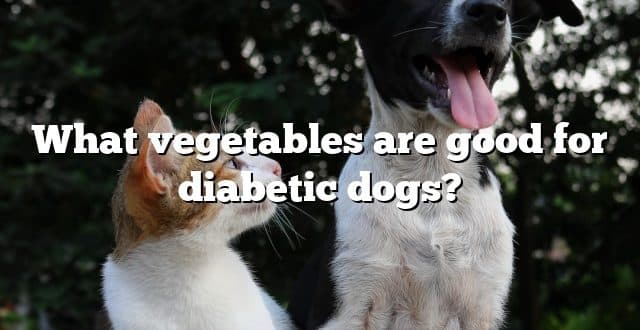 What vegetables are good for diabetic dogs?