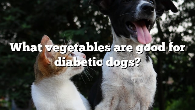 What vegetables are good for diabetic dogs?