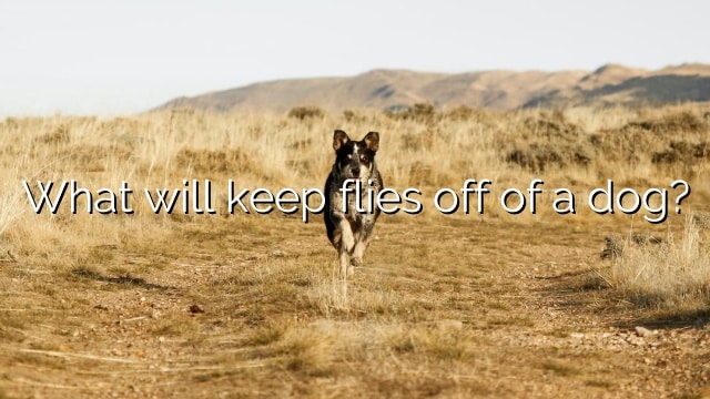 What will keep flies off of a dog?