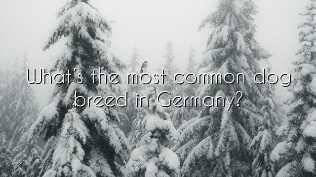 What’s the most common dog breed in Germany?