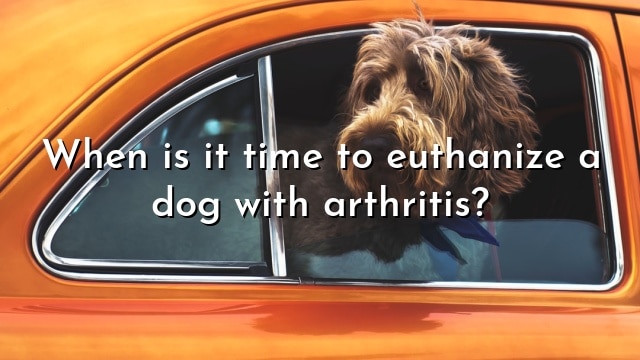 When is it time to euthanize a dog with arthritis?