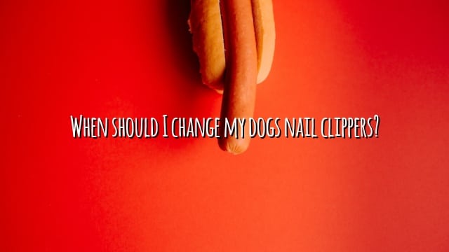 When should I change my dogs nail clippers?