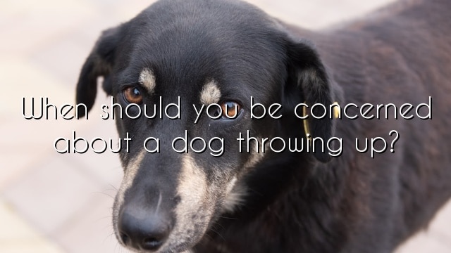 When should you be concerned about a dog throwing up?