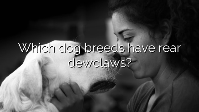 Which dog breeds have rear dewclaws?