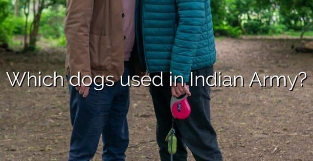 Which dogs used in Indian Army?