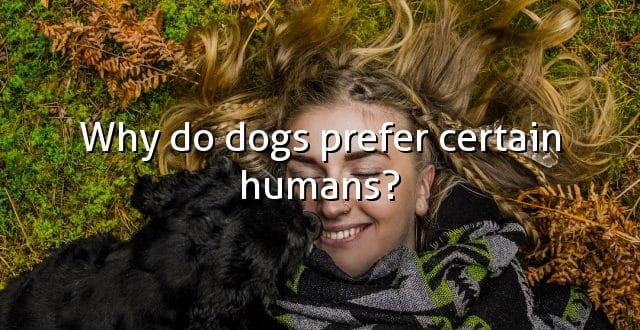 Why do dogs prefer certain humans?