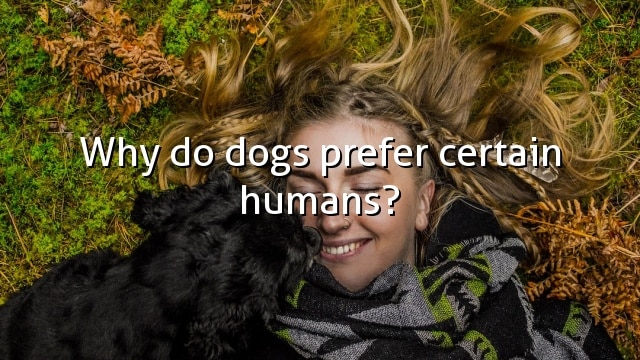 Why do dogs prefer certain humans?