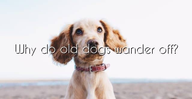 Why do old dogs wander off?