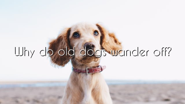 Why do old dogs wander off?