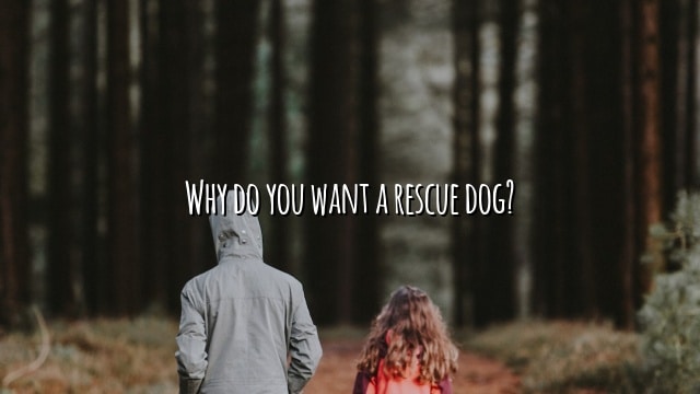 Why do you want a rescue dog?
